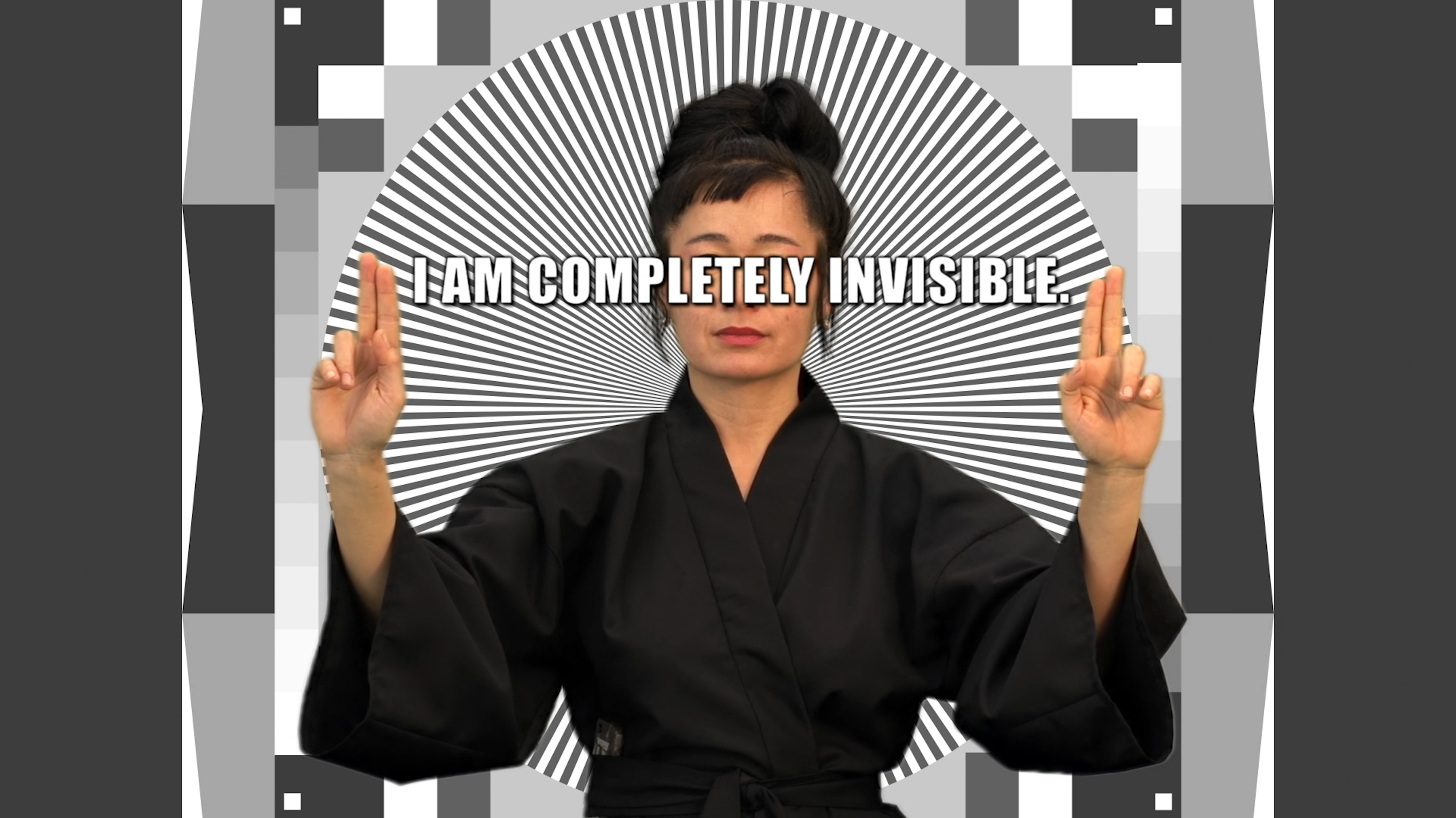 An Installation of Hito Steyerl's How Not to be Seen: A F**king ...