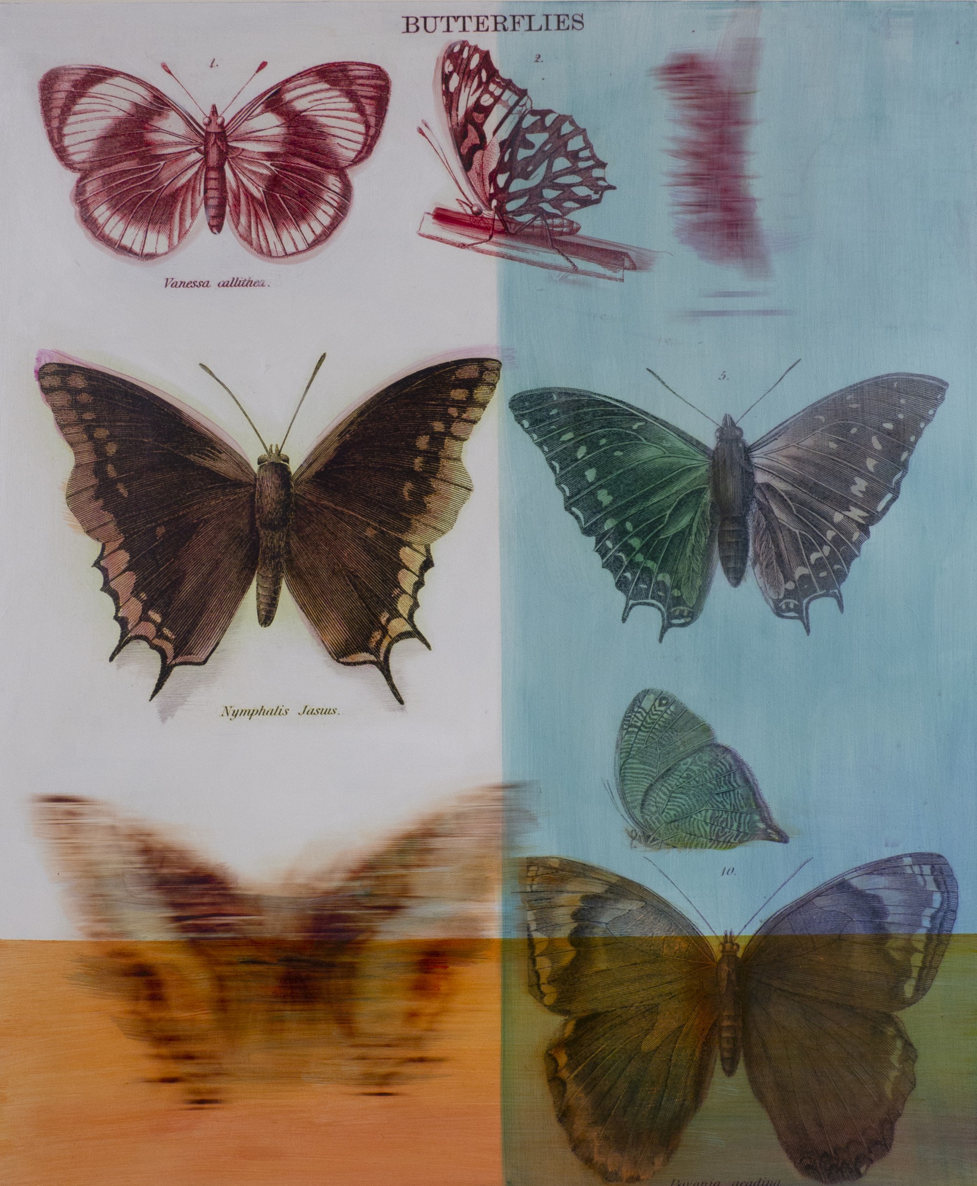 Wild Projects Presents Nature Studies Minnesota Street Project