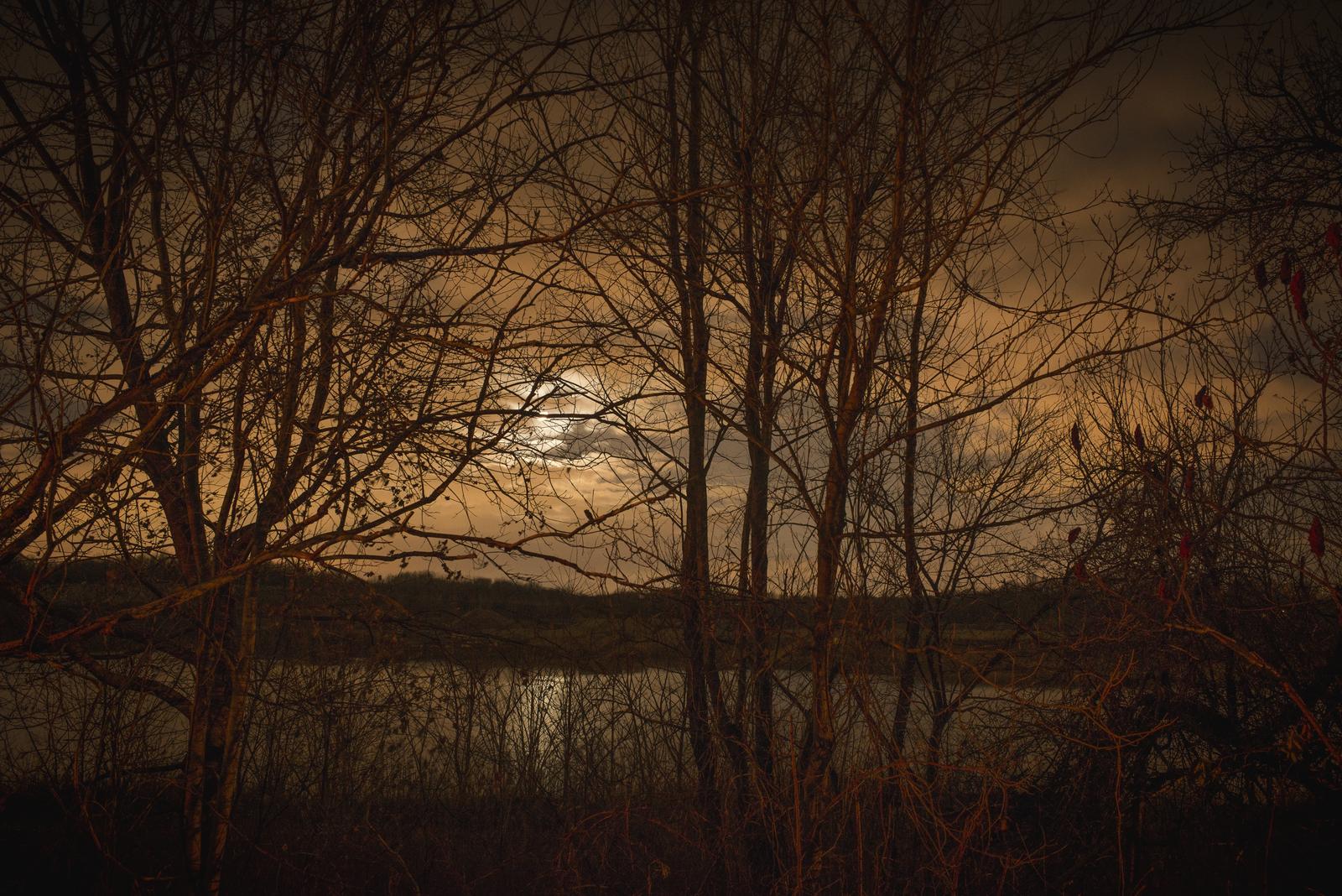 Todd Hido | Minnesota Street Project Todd Hido | Minnesota Street Project