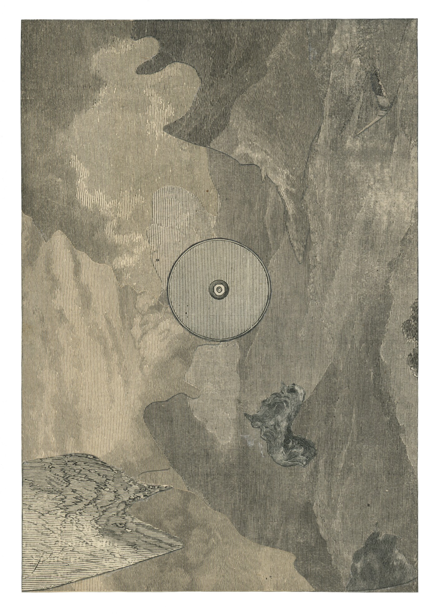 environment, Dean Smith