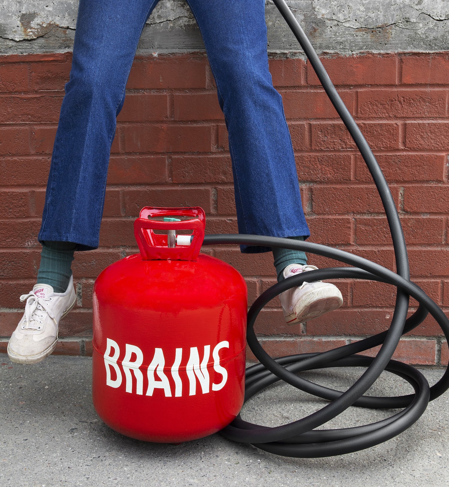 Lindsey White, <em>Brains</em>, 2021. Archival pigment print. 18 3/8 x 20 in.