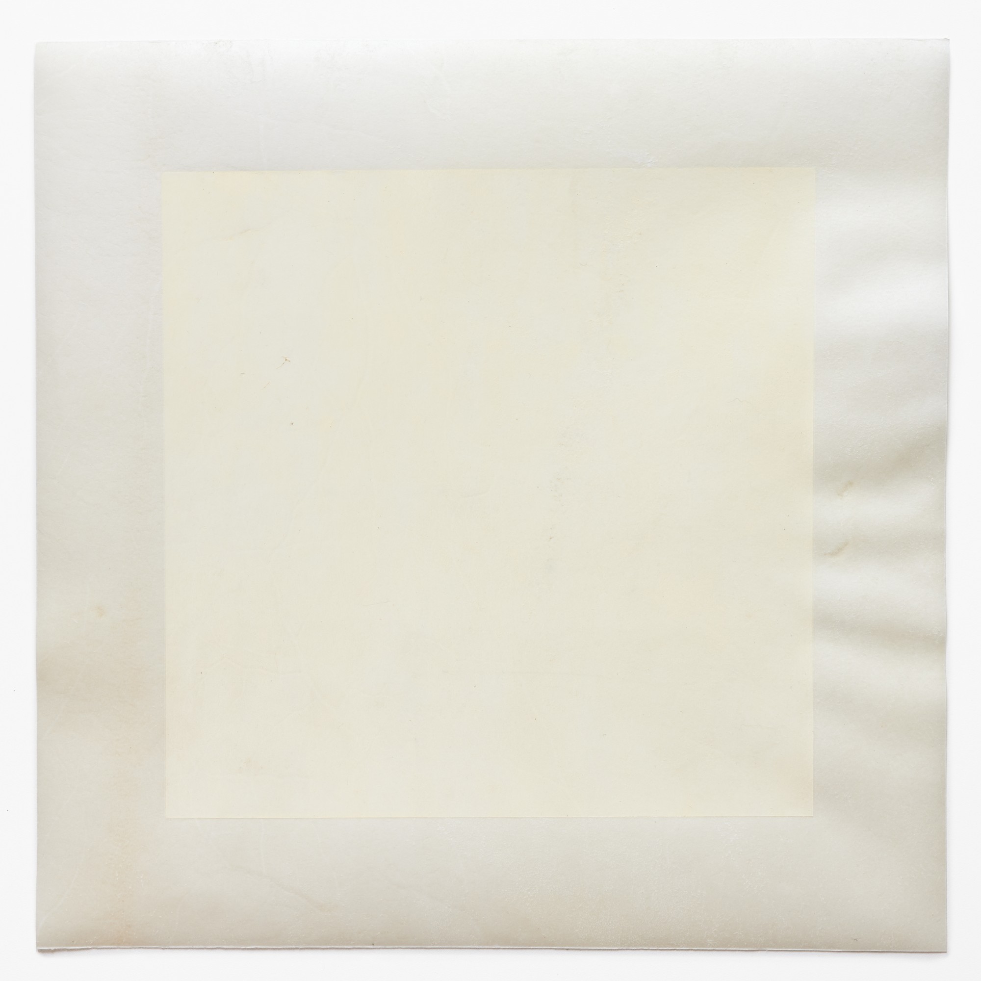 Afton Love, The Body Remembers (Joy), 2022