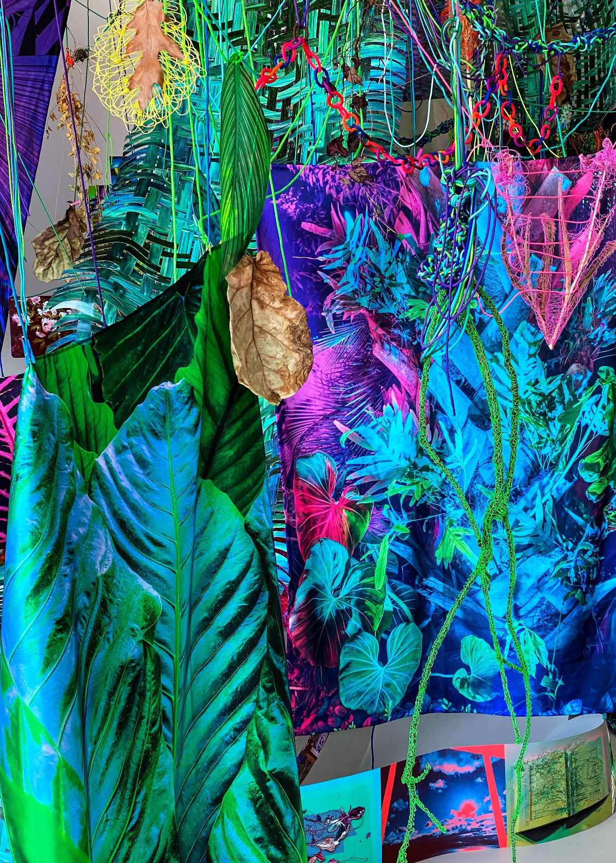 Aimée Beaubien, Studio study for <em>Matter in the Hothouse</em>, 2022, cut and woven photographs, paracord, polymer chains, miniature clothespins, branch, leaves, tulips, filament drawings, dimensions variable.