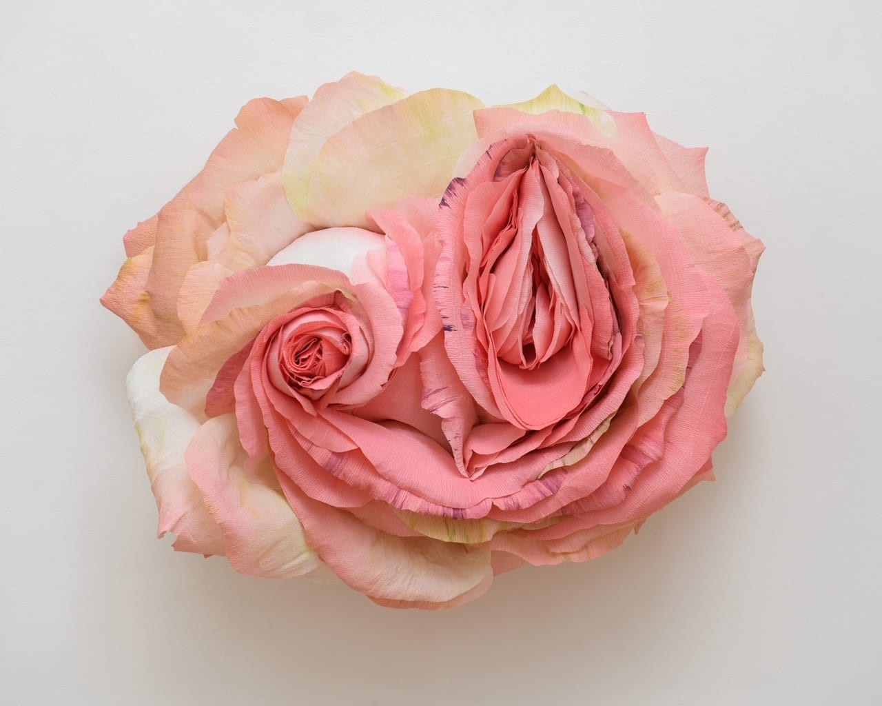 Tiffanie Turner, <em>Split Rose</em>, 2020. Papier-mâché, Italian crepe paper, stain, glue, wooden rods, cardboard, wire. 29 x 34.5 x 20.