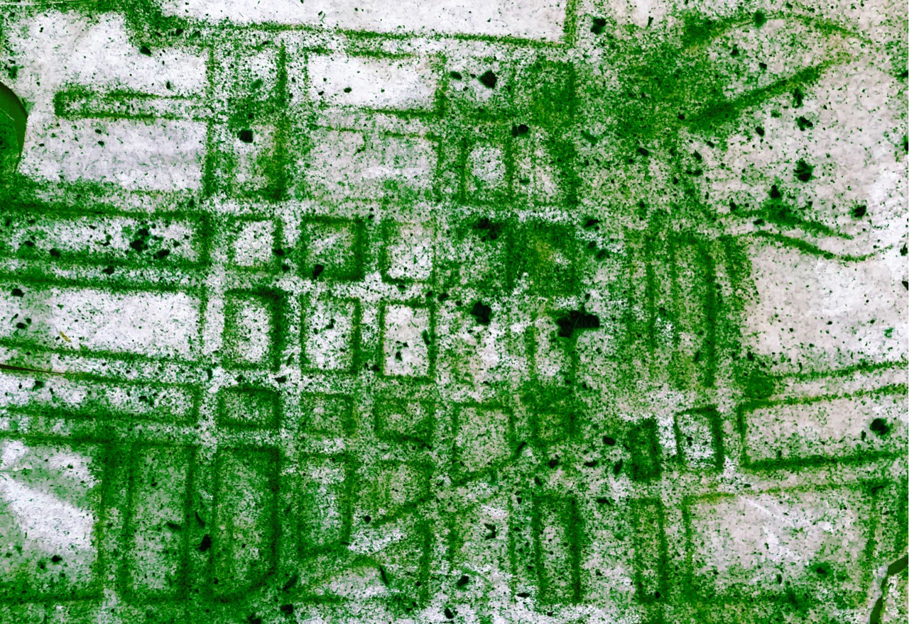 <em>Green Parcels Map</em> by Taraneh Hemami.