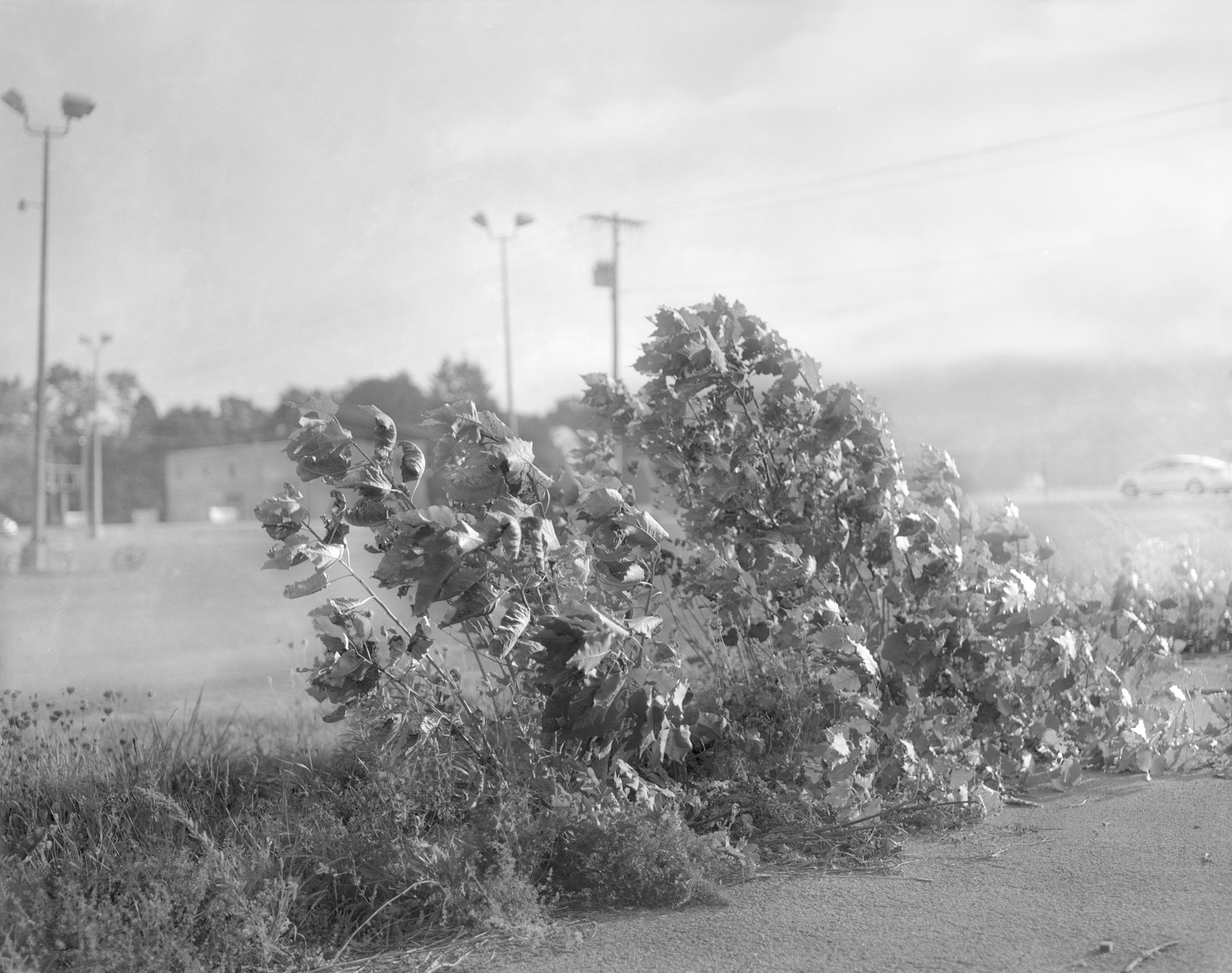 Raymond Meeks, Halfstory #955 Canajaharie NY, 2016