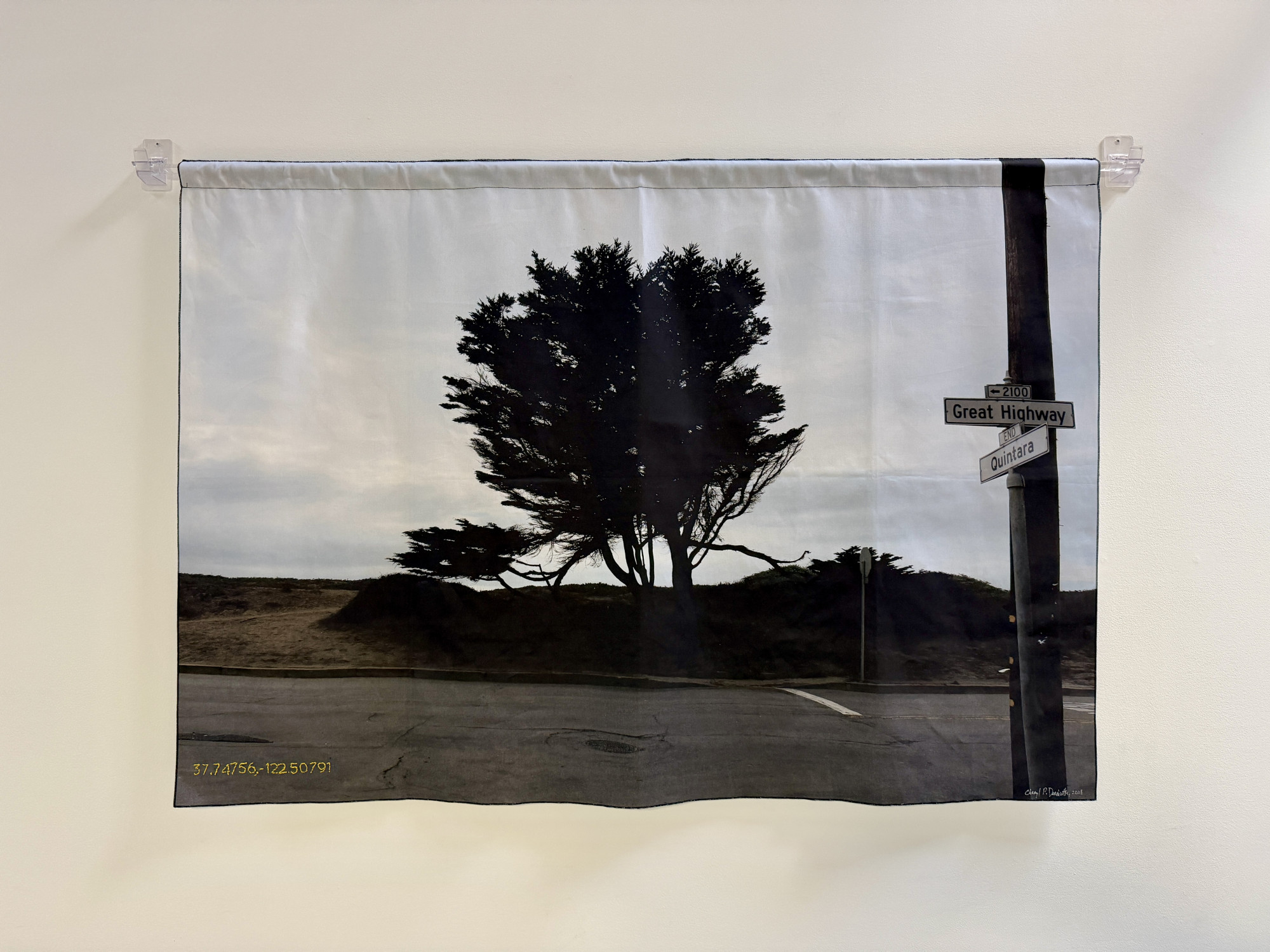 Cheryl Derricotte, Guardian, 2026, Monterey Cypress Photo on Organic Cotton Canvas; Hand Embroidery with Vintage, Swedish Linen Thread; Cotton Ribbon Backing, 24 “x 30”. Courtesy of the artist and re.riddle 