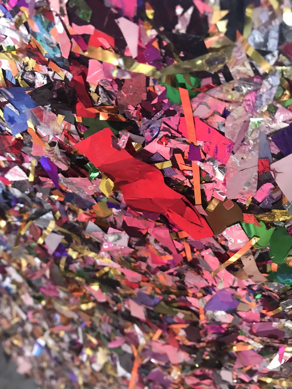 Lisa Jonas Taylor, detail. 2017