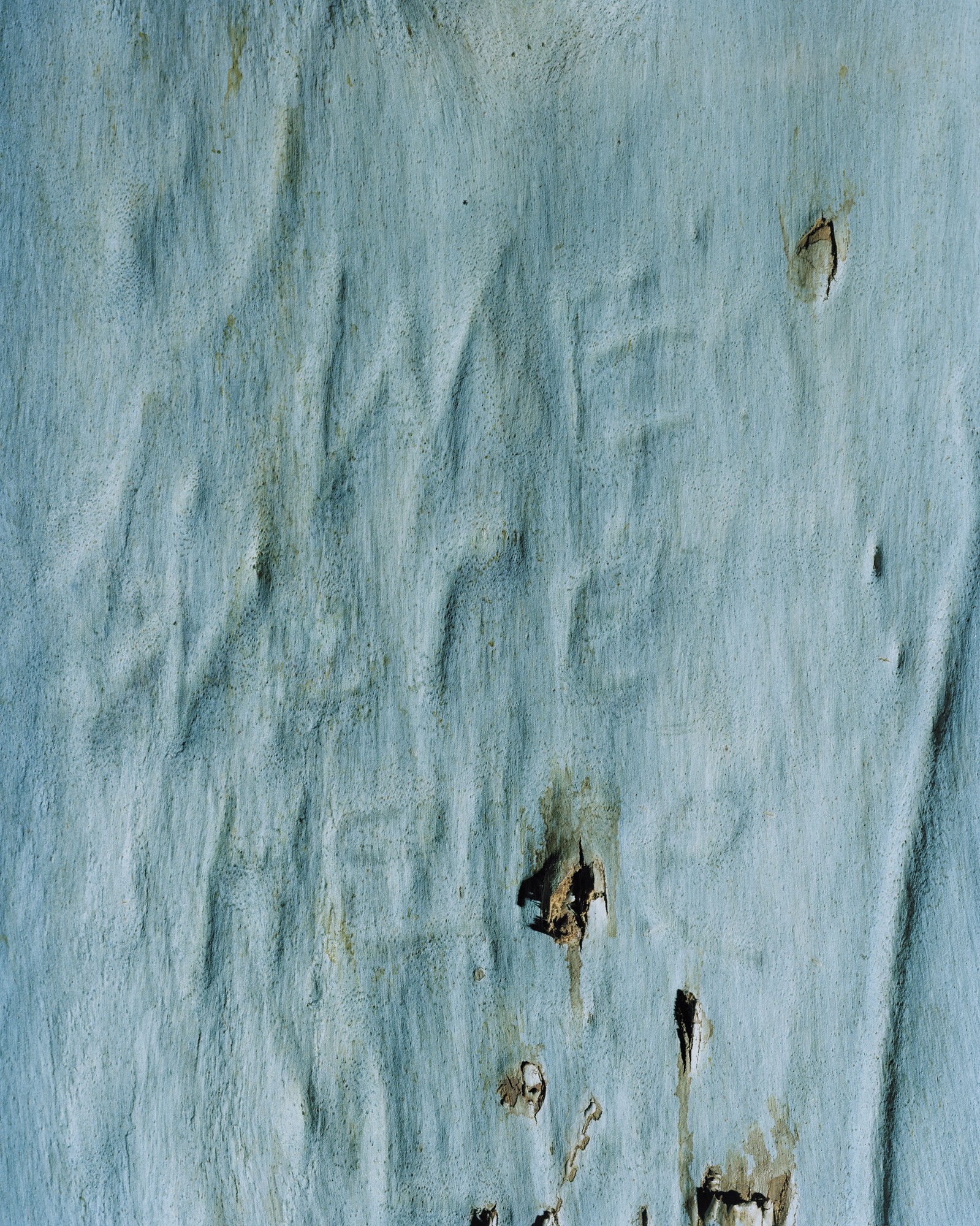 WE WERE HERE, 2015, Archival pigment print, 20 x 16 in., ed. of 5.