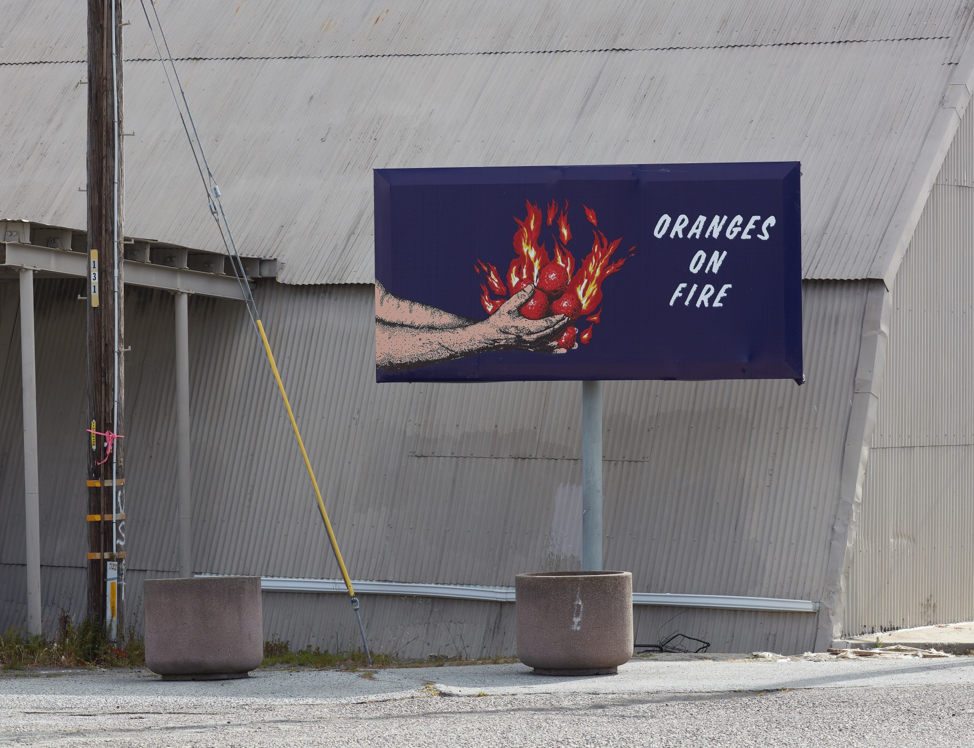 Larry Sultan + Mike Mandel (April - June 2017)