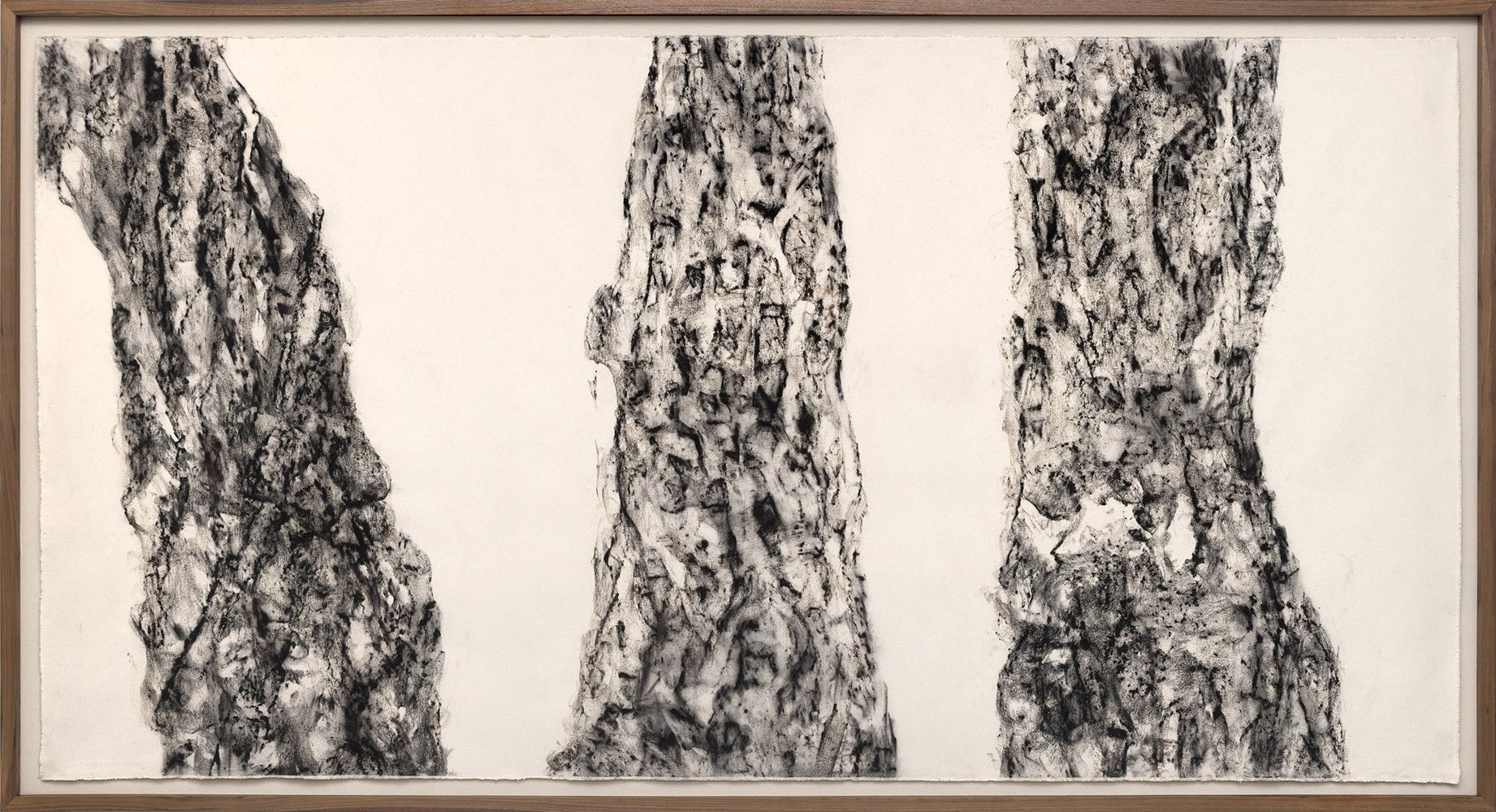 Joan Wulf, <em>Pinus Canariensis 34N 118.5W</em>, 2020. Charred wood on canvas. 65.25x121 in.