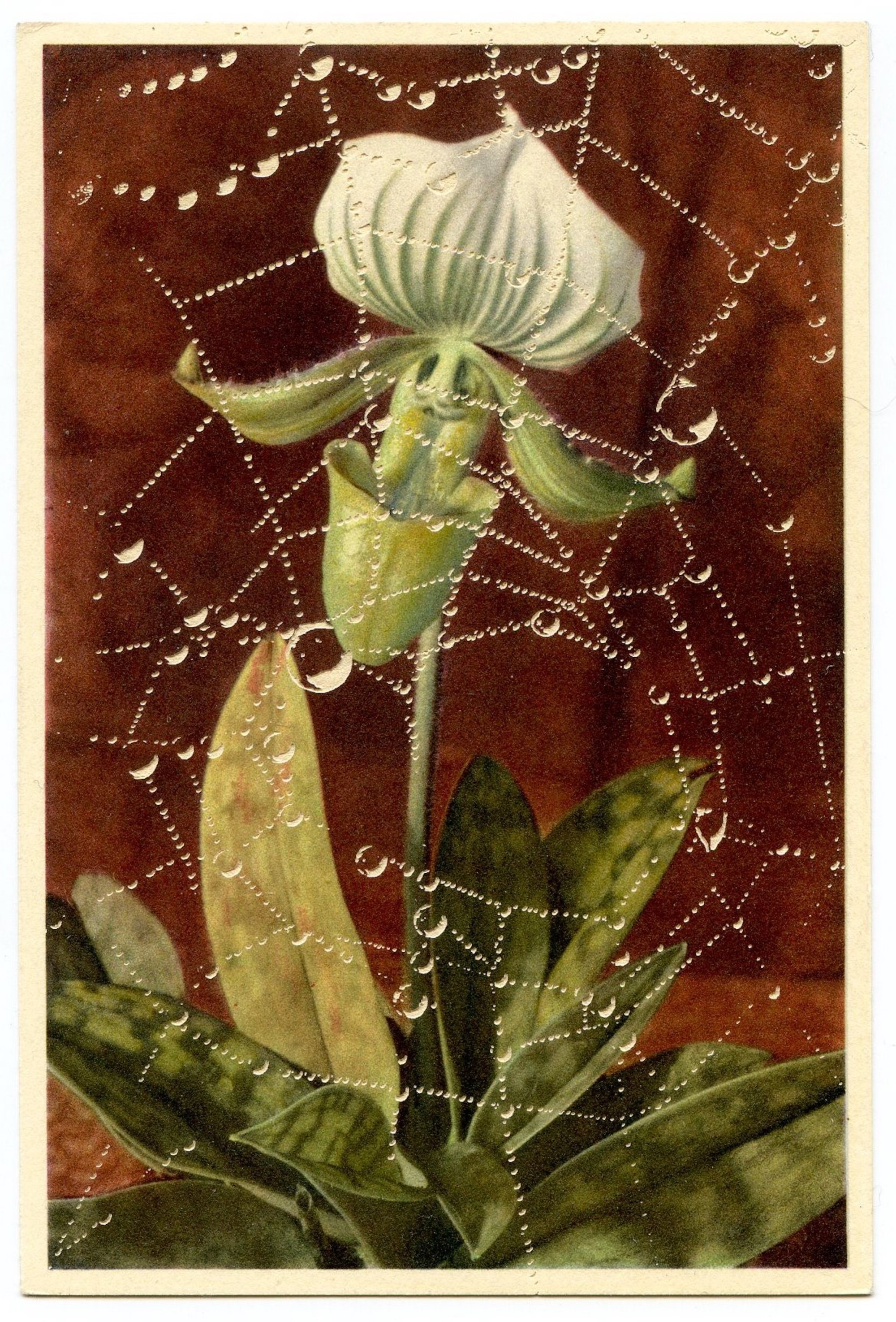 Ajit Chauhan, “Provisional,” Erased postcard, 13 x 17 in., 2023⁠