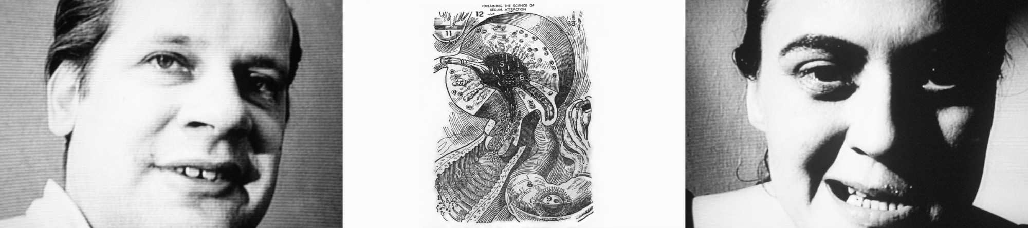 John Waters, Sexual Attraction, 2014, C-prints, 12 1/2 x 33 1/2 inches (total), 6 x 27 inches (image size), edition of 5