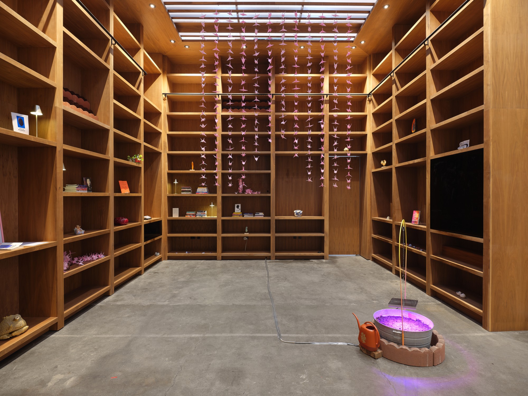 Installation view, Notes on Cultural Evidence