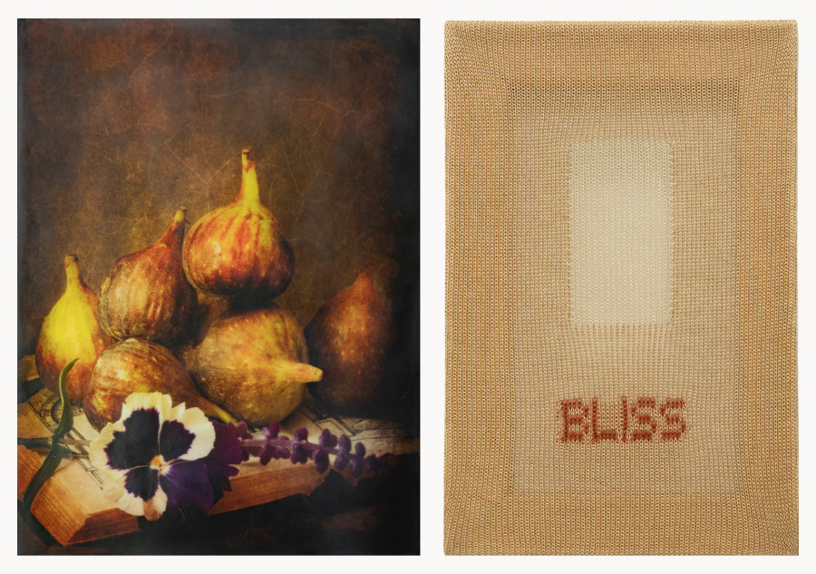 Brigitte Carnochan, Figs, 2025, 13  x 17 inches, unique encaustic photograph. Patrick Carroll, Bliss, 2025, 15 x 10 inches, linen, silk, and mohair knit textile on wooden stretcher.