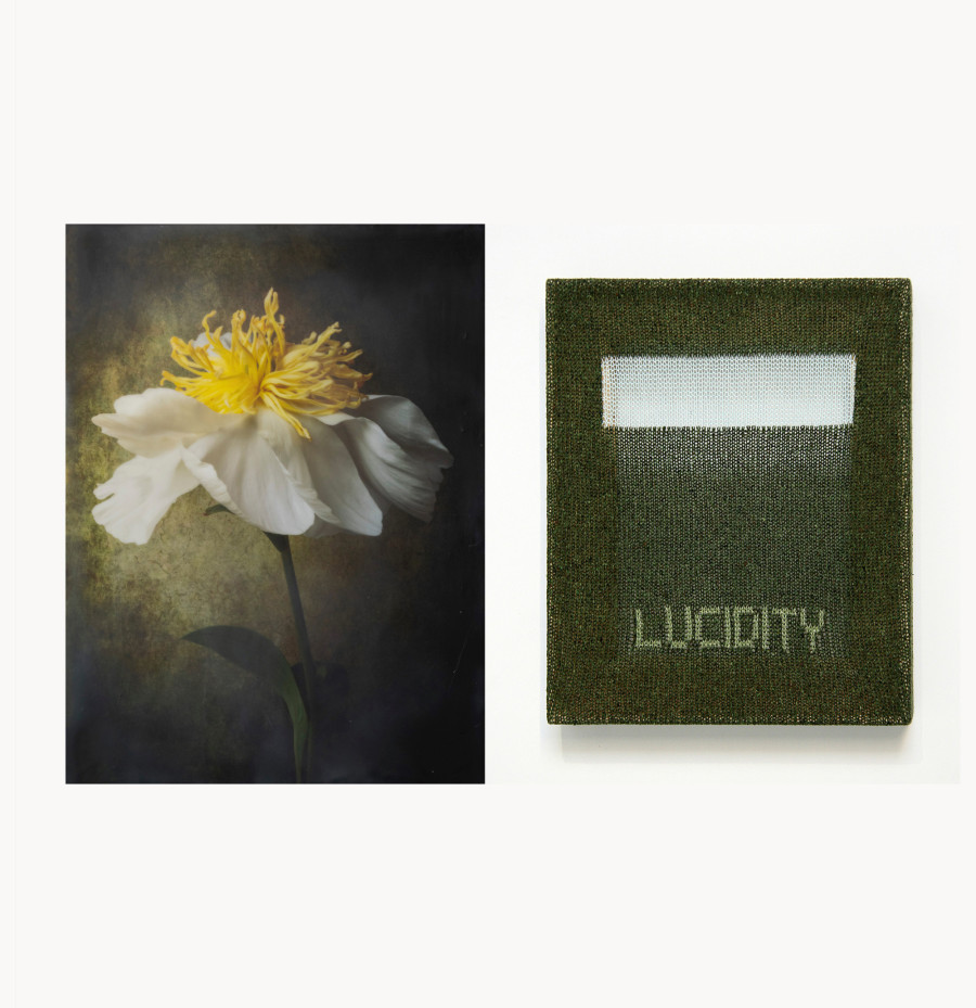 (left) Brigitte Carnochan, White Peony, 2025, encaustic photograph, 12 x 16 inches, unique. (Right) Patrick Carroll, Lucidity, 2025, silk and linen textile on wooden stretcher, 10 x 12 inches, unique.