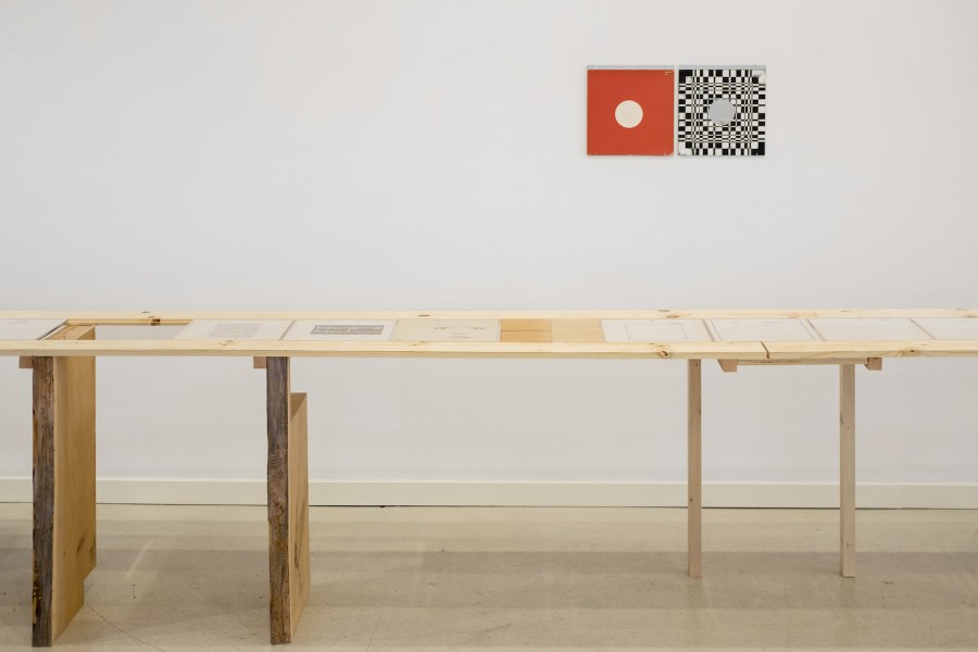 Ajit Chauhan, Four horses to overcome fourteen ponds, Erased record covers table/vitrine