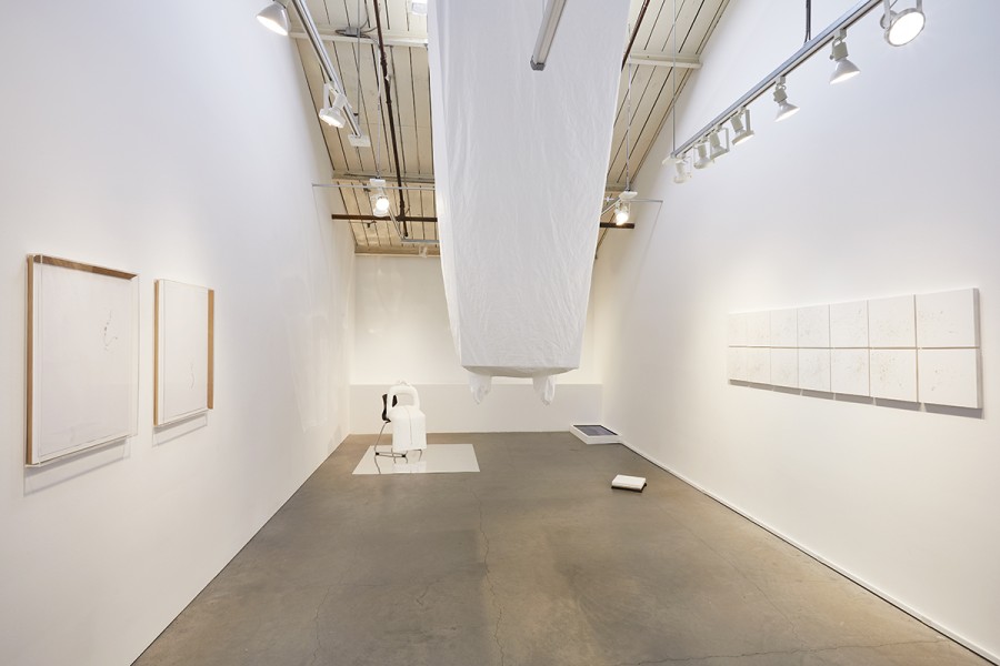 Installation View: 