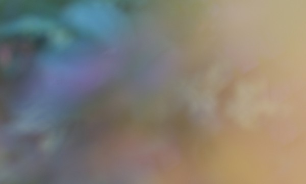 Keira Kotler: Spectrum