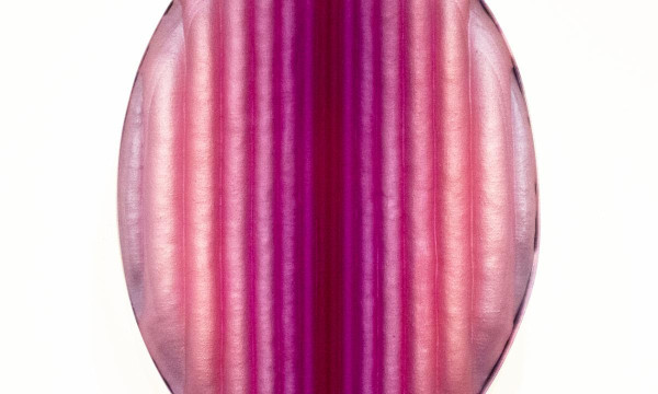Opening Reception: Lisa Bartleson: Hand Work