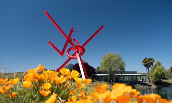 Napa’s di Rosa Art Center for Contemporary Art is opening a new exhibition space in the heart of San Francisco, at the Minnesota Street Project in Dogpatch. 