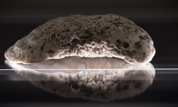 Film screening: Mary Helena Clark, Peng Zuqiang, and Ana Vaz         co-presented with CCA Wattis Institute for Contemporary Arts