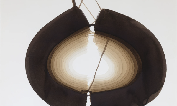 Danielle Dimston: The Enigma of Geometries