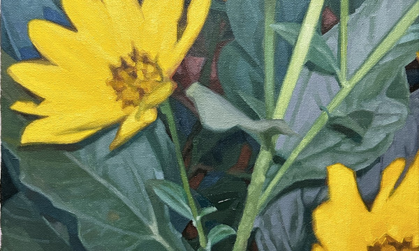 Daniel Albrigo: Dream Sequence