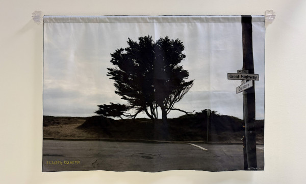 Opening Reception: Cheryl Derricotte: A Consideration of Trees