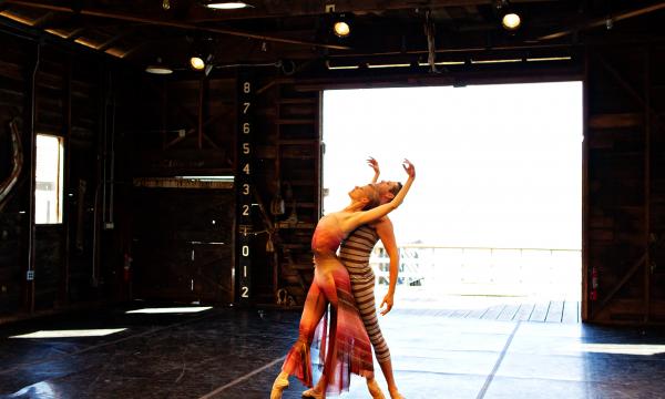 Performance by Julia Adam Dance