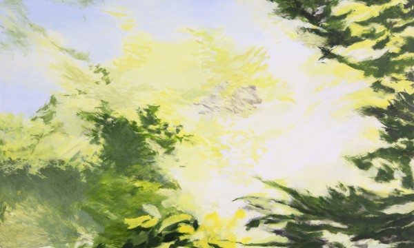 Janet Jacobs: Into the Light 
