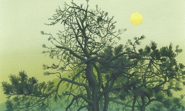 Robert Minervini: 36 Views