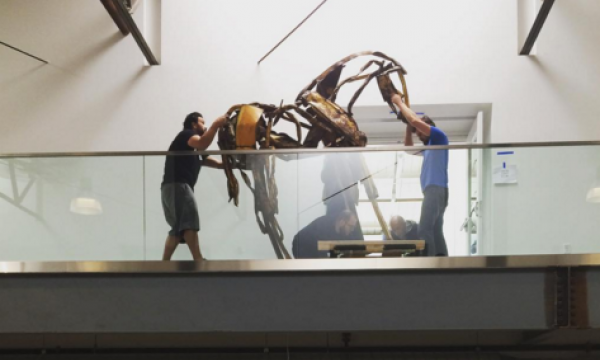 Philanthropists Hope to Save Bay Area Art Scene