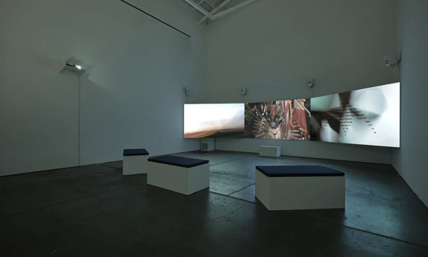 The Unruly Exuberance of Sky Hopinka’s Videos