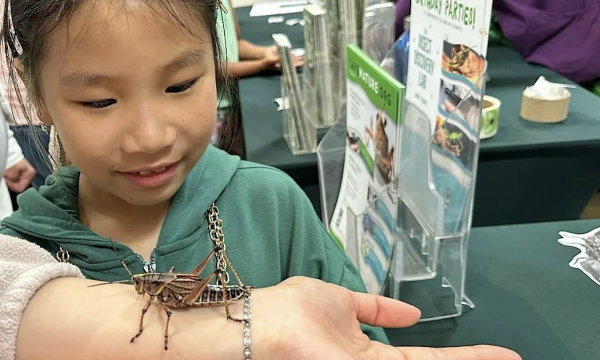 InsectPalooza 2026
